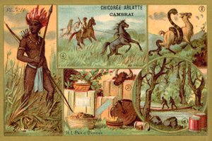 Amérique du Sud